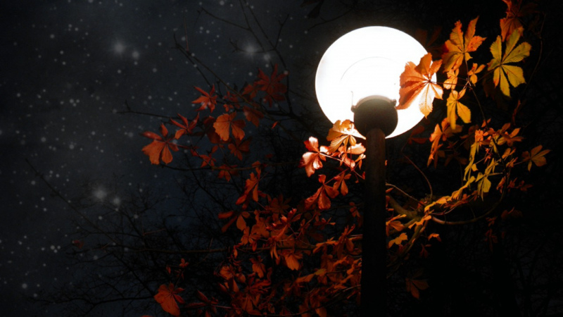 Šonedēļ sākas gada tumšākais ceturksnis